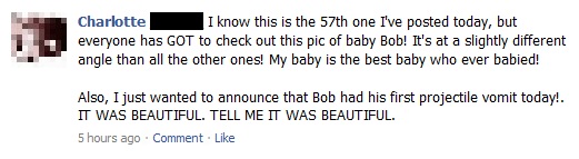 facebook-baby-status