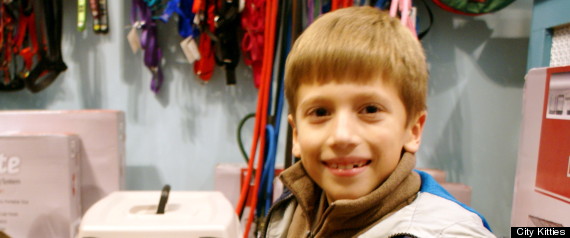 evan-city-kitties-profile