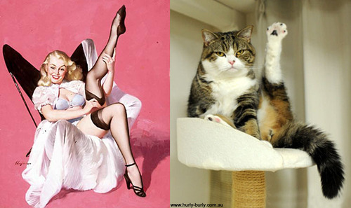 pin-up-cat-leg-stretch