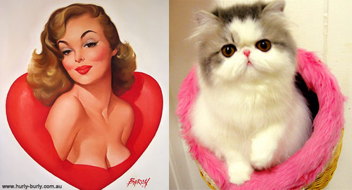 pin-up-cat-love