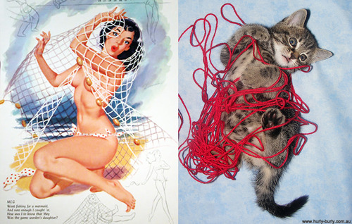 pin-up-cat-netting