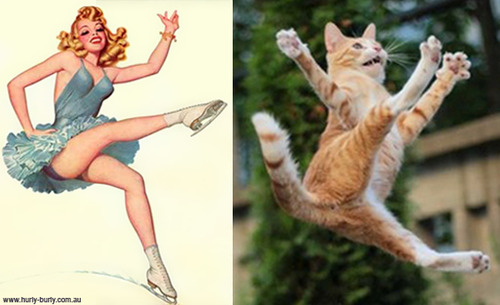 pin-up-cat-skating