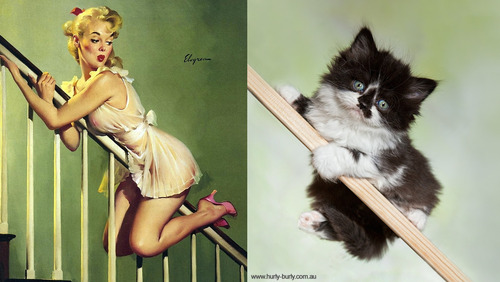 pin-up-cat-staircase