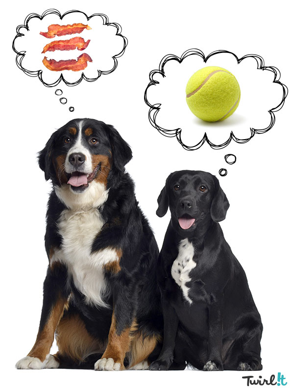 Photo credit: Twirlit.com