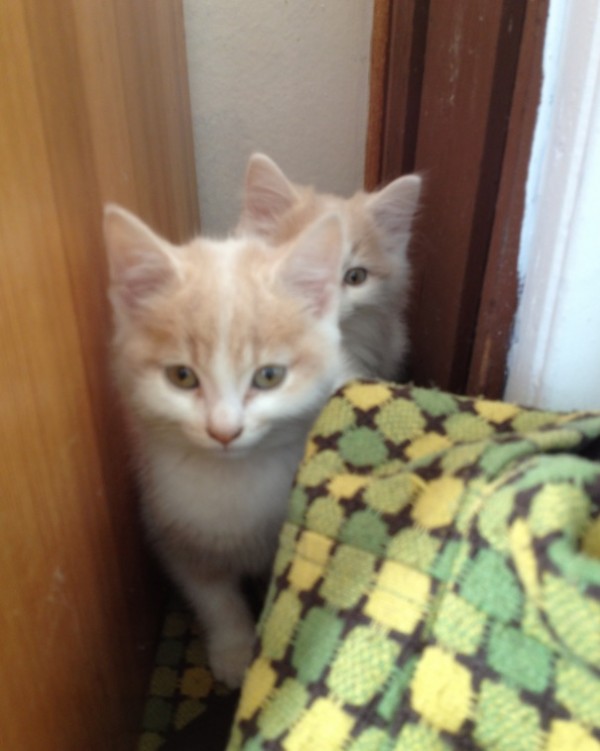 Photo credit: Twirlit.com