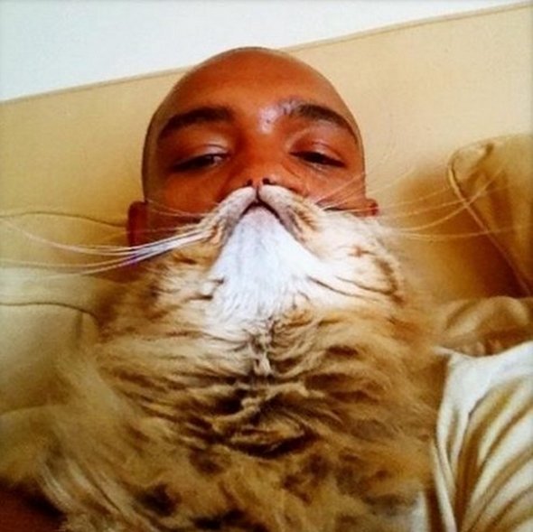 Via: Cat-Beard.com