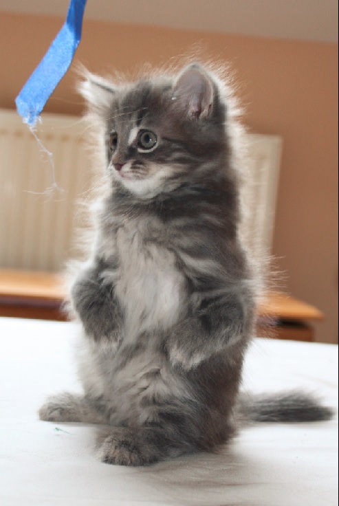 Via: Huffington Post