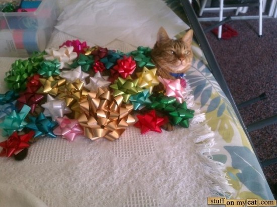 Via: Stuff on My Cat