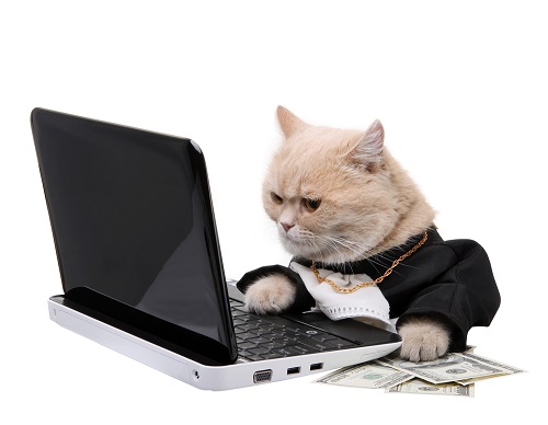 Photo credit: Shutterstock