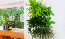 1-livingwalls-landingpage